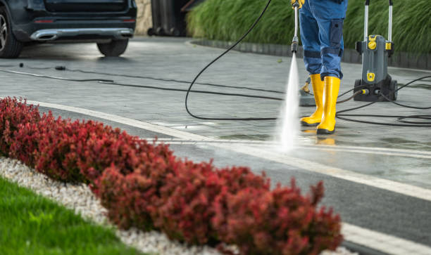 Best Animal Enclosure Cleaning  in Goulding, FL